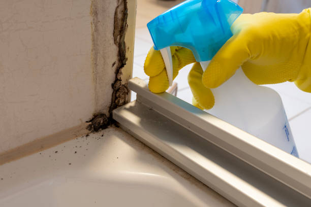 Best Industrial Mold Remediation in Shawsville, VA