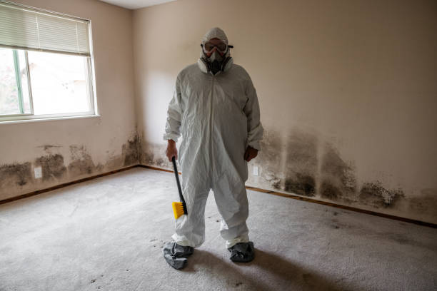 Best HVAC Mold Remediation in Shawsville, VA